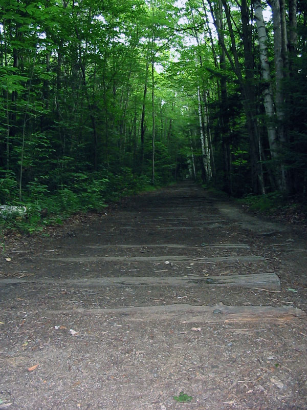The Lincoln Woods Trail